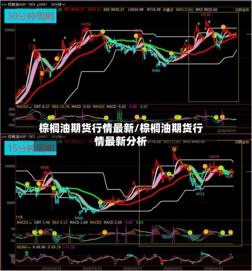 棕榈油期货行情最新/棕榈油期货行情最新分析-第2张图片