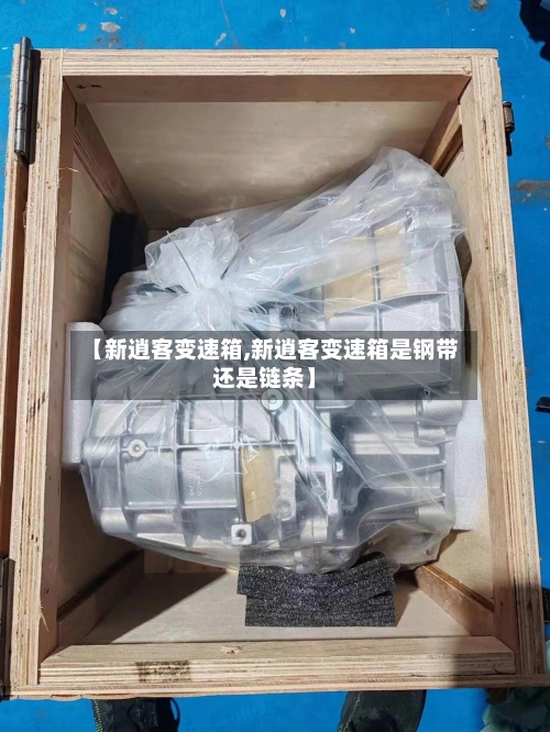 【新逍客变速箱,新逍客变速箱是钢带还是链条】