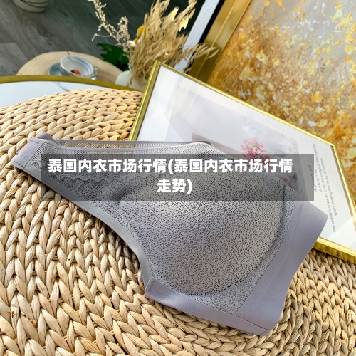 泰国内衣市场行情(泰国内衣市场行情走势)