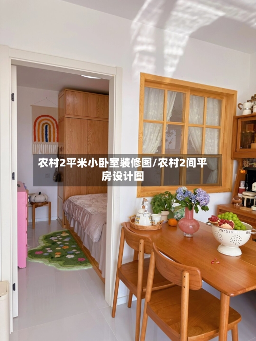 农村2平米小卧室装修图/农村2间平房设计图