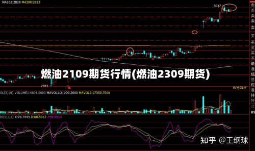 燃油2109期货行情(燃油2309期货)-第3张图片