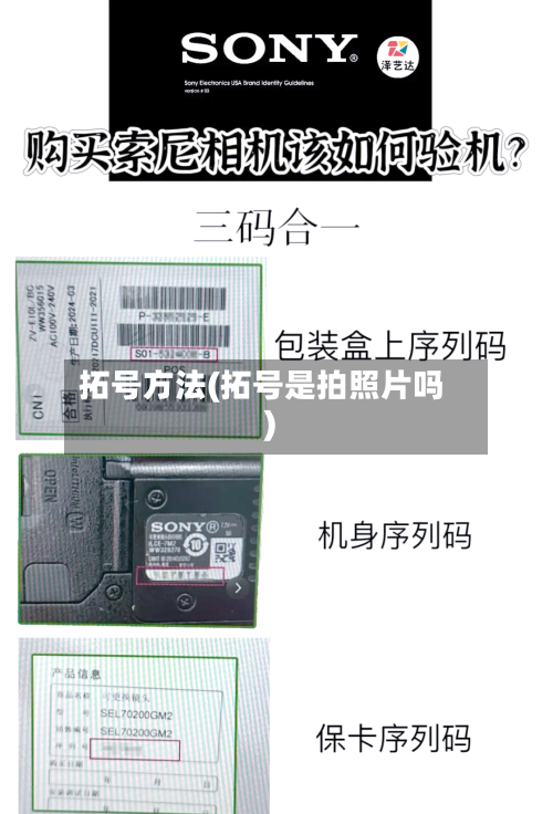 拓号方法(拓号是拍照片吗)-第2张图片
