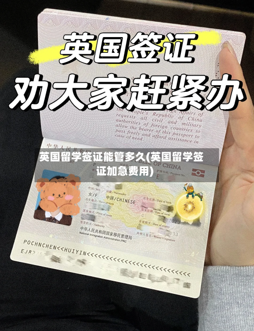 英国留学签证能管多久(英国留学签证加急费用)-第3张图片