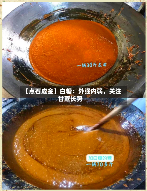【点石成金】白糖：外强内弱	，关注甘蔗长势-第3张图片