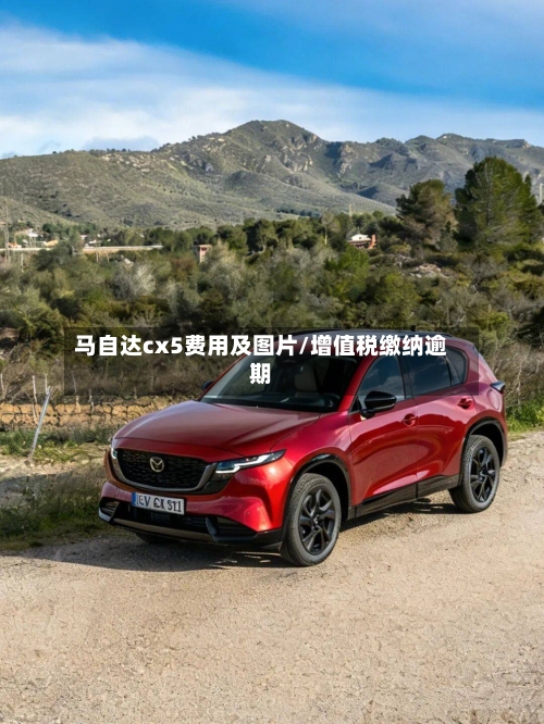 马自达cx5费用及图片/增值税缴纳逾期-第3张图片