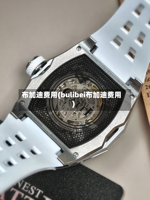 布加迪费用(bulibei布加迪费用)-第2张图片