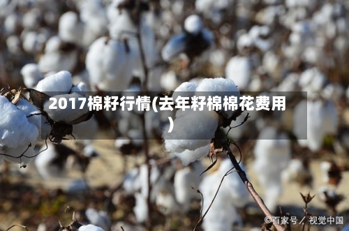 2017棉籽行情(去年籽棉棉花费用)