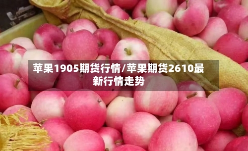 苹果1905期货行情/苹果期货2610最新行情走势