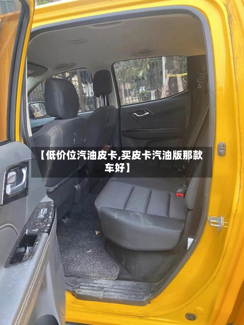 【低价位汽油皮卡,买皮卡汽油版那款车好】