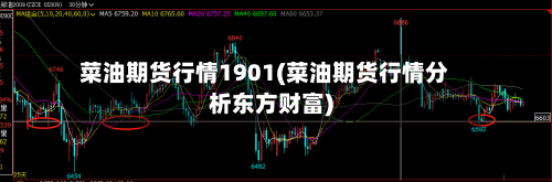 菜油期货行情1901(菜油期货行情分析东方财富)-第3张图片