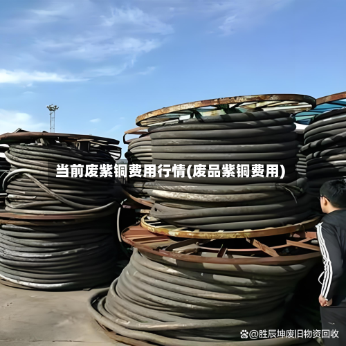 当前废紫铜费用行情(废品紫铜费用)