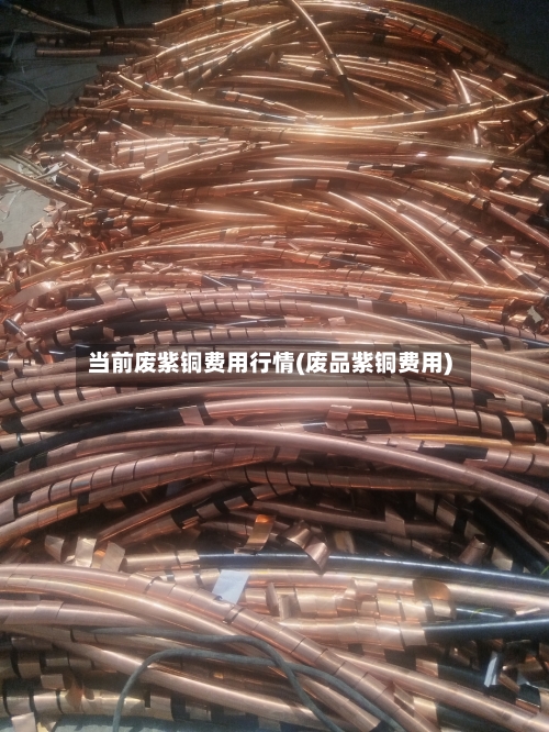 当前废紫铜费用行情(废品紫铜费用)-第2张图片