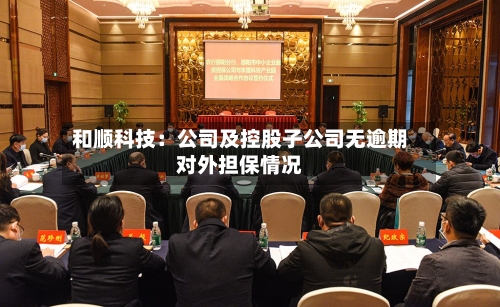 和顺科技：公司及控股子公司无逾期对外担保情况-第2张图片