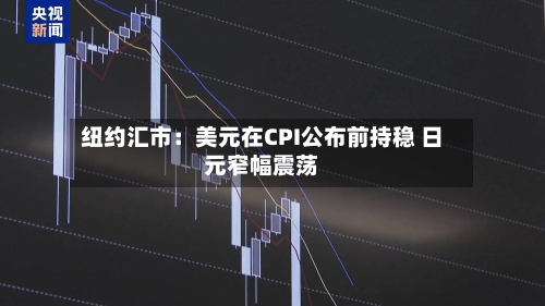 纽约汇市：美元在CPI公布前持稳 日元窄幅震荡