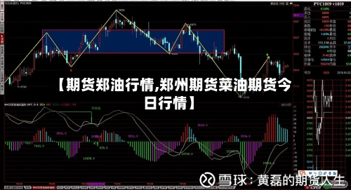 【期货郑油行情,郑州期货菜油期货今日行情】