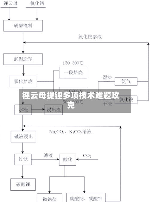 锂云母提锂多项技术难题攻克-第3张图片