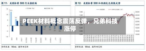 PEEK材料概念震荡反弹，兄弟科技涨停