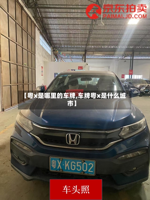 【粤x是哪里的车牌,车牌粤x是什么城市】