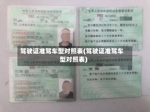 驾驶证准驾车型对照表(驾驶证准驾车型对照表)-第3张图片