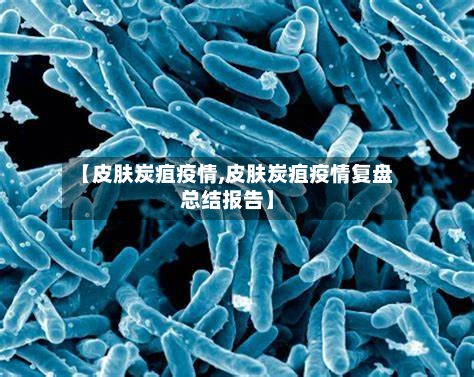【皮肤炭疽疫情,皮肤炭疽疫情复盘总结报告】