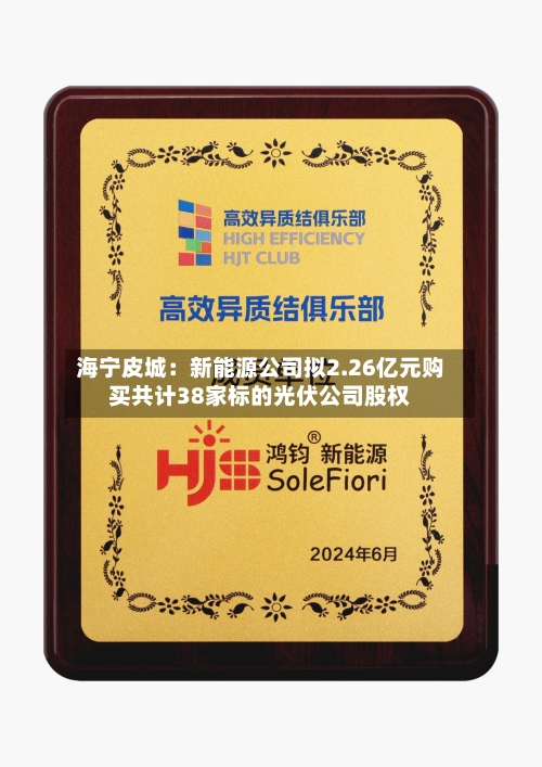 海宁皮城：新能源公司拟2.26亿元购买共计38家标的光伏公司股权-第2张图片