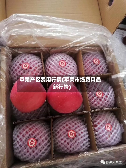 苹果产区费用行情(苹果市场费用最新行情)