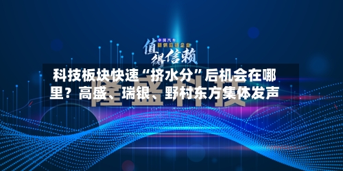 科技板块快速“挤水分”后机会在哪里？高盛、瑞银	、野村东方集体发声-第3张图片
