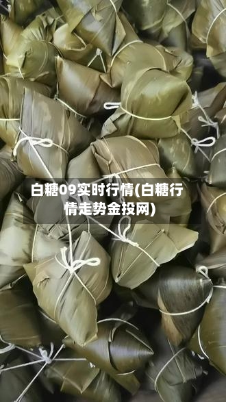 白糖09实时行情(白糖行情走势金投网)-第1张图片