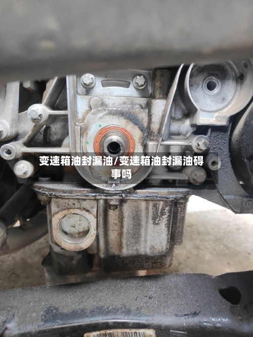 变速箱油封漏油/变速箱油封漏油碍事吗-第3张图片