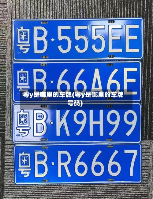粤y是哪里的车牌(粤y是哪里的车牌号码)-第2张图片