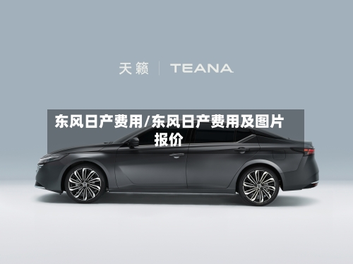 东风日产费用/东风日产费用及图片报价