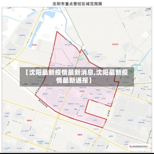 【沈阳最新疫情最新消息,沈阳最新疫情最新通报】