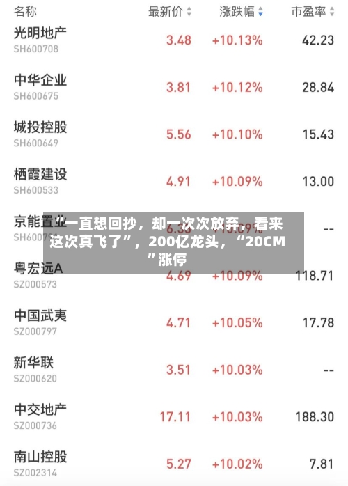 “一直想回抄，却一次次放弃，看来这次真飞了”	，200亿龙头，“20CM”涨停-第3张图片