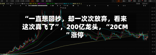 “一直想回抄，却一次次放弃，看来这次真飞了	”	，200亿龙头，“20CM”涨停-第2张图片