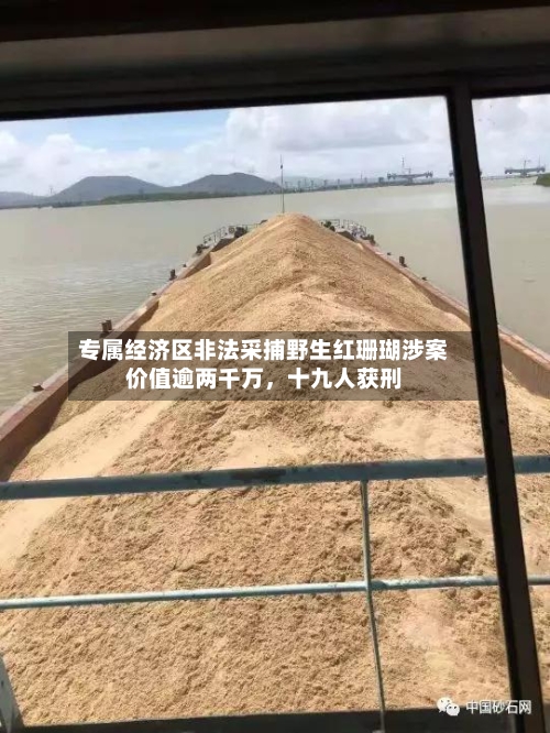 专属经济区非法采捕野生红珊瑚涉案价值逾两千万	，十九人获刑-第2张图片