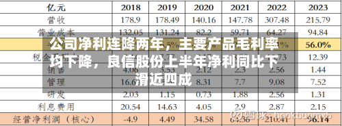 公司净利连降两年，主要产品毛利率均下降	，良信股份上半年净利同比下滑近四成-第2张图片