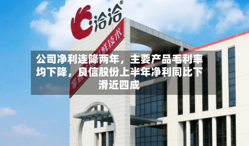 公司净利连降两年，主要产品毛利率均下降，良信股份上半年净利同比下滑近四成-第1张图片