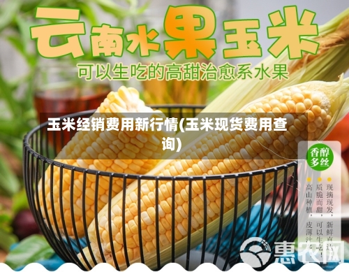 玉米经销费用新行情(玉米现货费用查询)