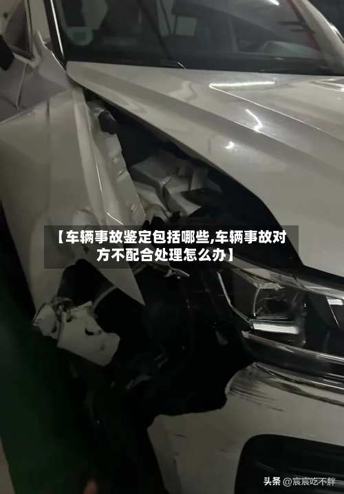【车辆事故鉴定包括哪些,车辆事故对方不配合处理怎么办】-第2张图片