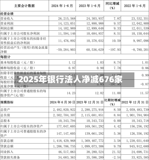 2025年银行法人净减676家