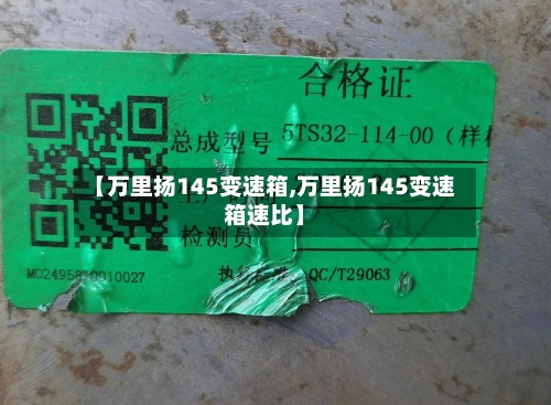 【万里扬145变速箱,万里扬145变速箱速比】-第3张图片