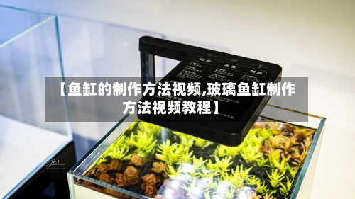 【鱼缸的制作方法视频,玻璃鱼缸制作方法视频教程】-第2张图片
