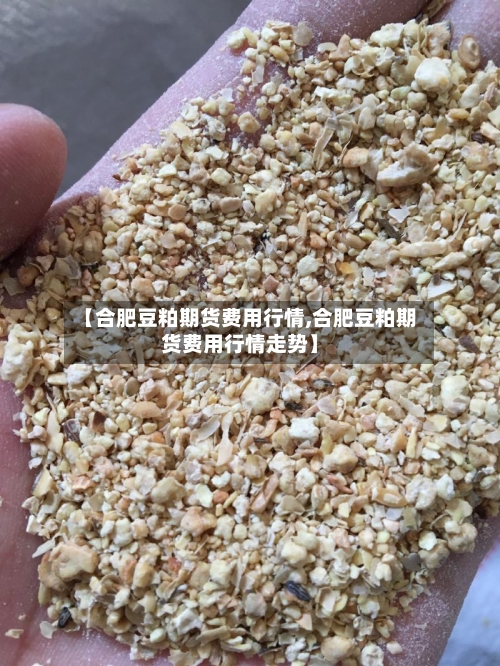 【合肥豆粕期货费用行情,合肥豆粕期货费用行情走势】