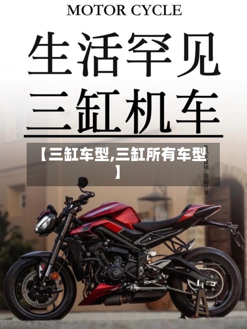 【三缸车型,三缸所有车型】