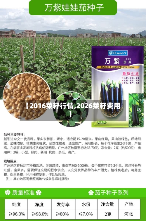 【2016菜籽行情,2026菜籽费用】