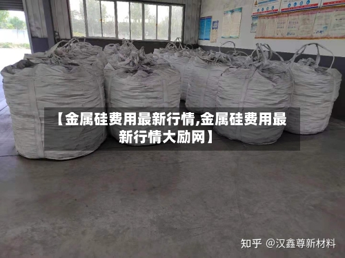 【金属硅费用最新行情,金属硅费用最新行情大励网】-第3张图片