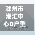 滁州市港汇中心D户型精装修/滁州港汇公寓