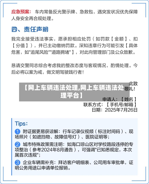 【网上车辆违法处理,网上车辆违法处理平台】-第2张图片
