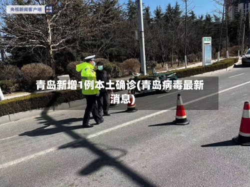 青岛新增1例本土确诊(青岛病毒最新消息)-第2张图片