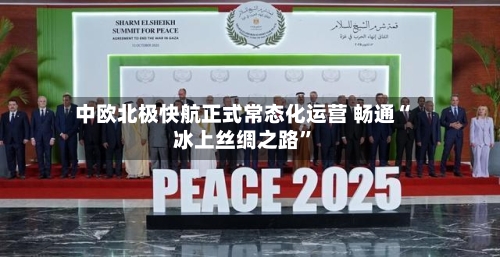 中欧北极快航正式常态化运营 畅通“冰上丝绸之路”-第2张图片